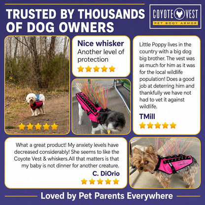 Coyotewhiskers Protective Nylon Dog Harness Bristles, Yellow | Nylon Bristles for or Spikevest Help Deter Coyotes, Aggressive Dogs and Birds of Prey Dog Accessory Made in USA