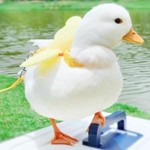 Duck Harness, Soft and Adjustable Chicken Walking Harness Breathable Pet Vest for Duck Chicken Hen Training Walking Basic Leashes[Yellow XS]