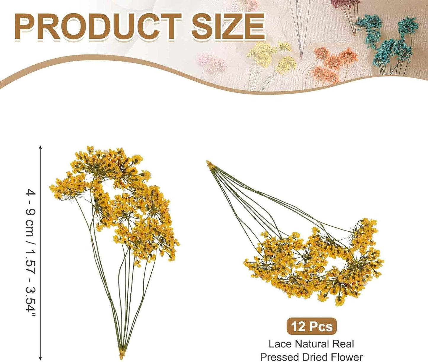 12 Pcs Natural Dried Pressed Flowers for Craft, Lace Real Pressed Dried Flowers Colorful Bouquets for Resin Moulds DIY Scrapbooking Candle Jewelry Making, Yellow