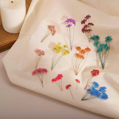 12 Pcs Natural Dried Pressed Flowers for Craft, Lace Real Pressed Dried Flowers Colorful Bouquets for Resin Moulds DIY Scrapbooking Candle Jewelry Making, Yellow