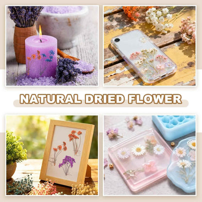 12 Pcs Natural Dried Pressed Flowers for Craft, Lace Real Pressed Dried Flowers Colorful Bouquets for Resin Moulds DIY Scrapbooking Candle Jewelry Making, Yellow