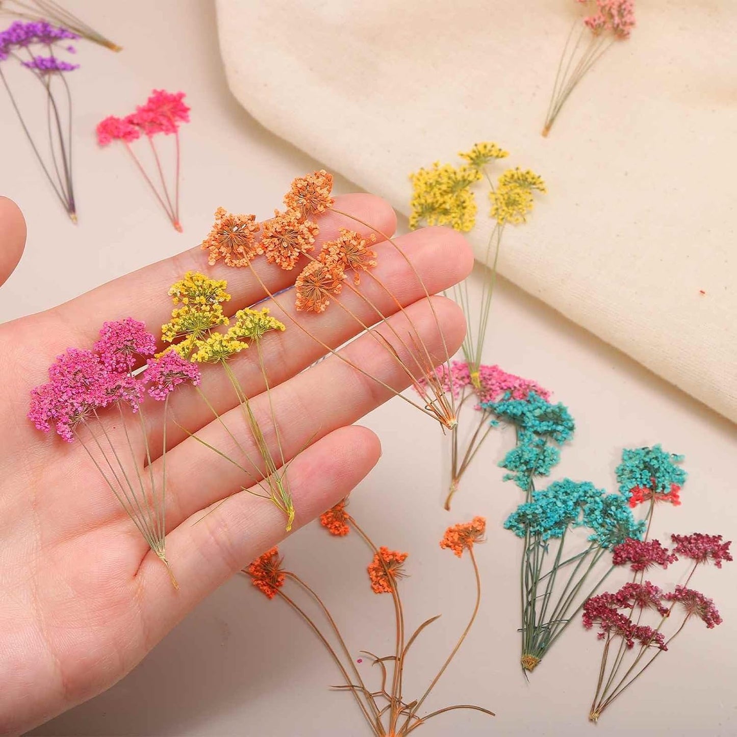 12 Pcs Natural Dried Pressed Flowers for Craft, Lace Real Pressed Dried Flowers Colorful Bouquets for Resin Moulds DIY Scrapbooking Candle Jewelry Making, Yellow