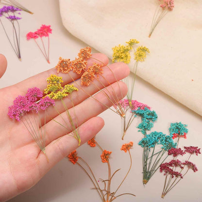 12 Pcs Natural Dried Pressed Flowers for Craft, Lace Real Pressed Dried Flowers Colorful Bouquets for Resin Moulds DIY Scrapbooking Candle Jewelry Making, Yellow
