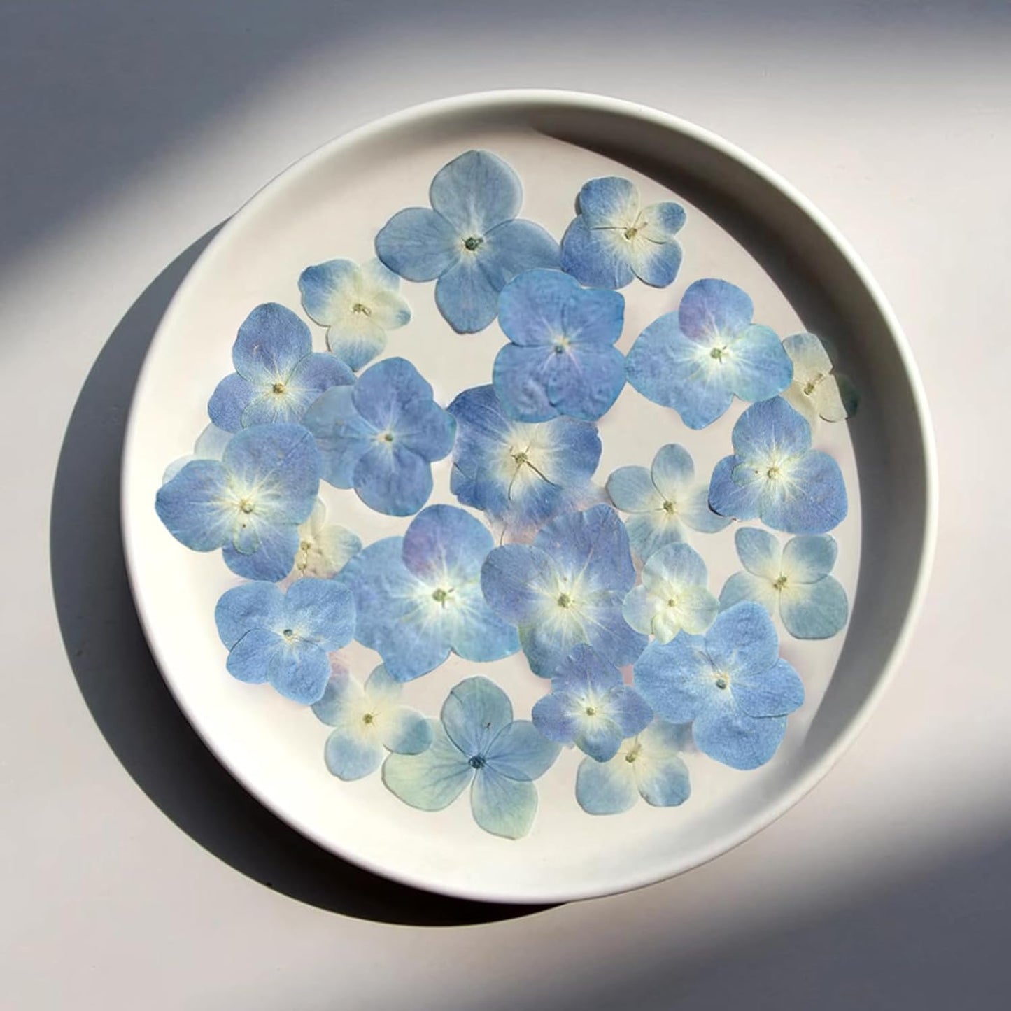 48 Pcs Dried Pressed Flowers for Resin DIY Art Crafts Natural Dry Hydrangea Floral Epoxy Jewelry Real Flower Decor Cakes Phone Cases Candles Handmade Soap Hydrangea, Hydrangea/48pcs