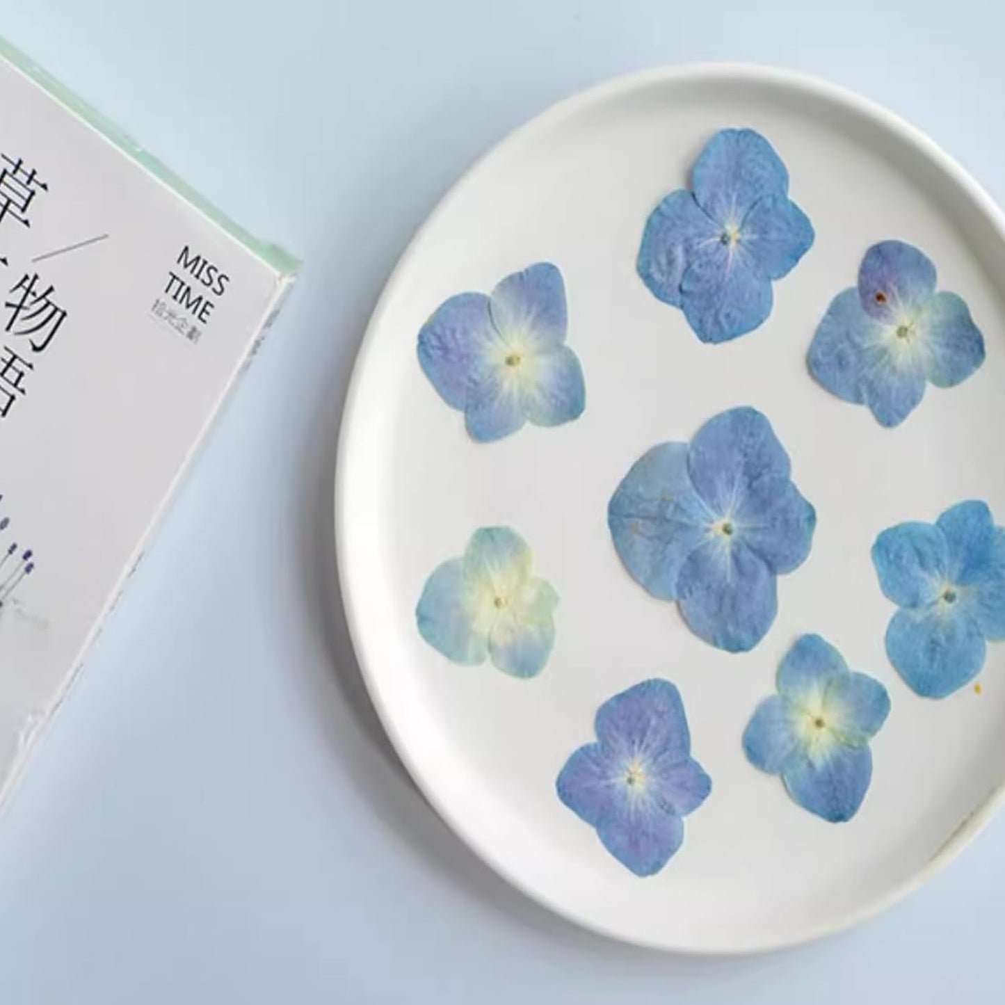 48 Pcs Dried Pressed Flowers for Resin DIY Art Crafts Natural Dry Hydrangea Floral Epoxy Jewelry Real Flower Decor Cakes Phone Cases Candles Handmade Soap Hydrangea, Hydrangea/48pcs