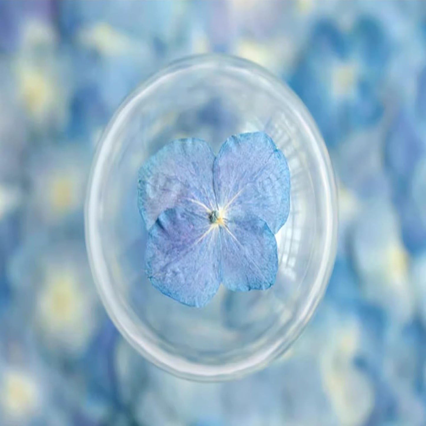 48 Pcs Dried Pressed Flowers for Resin DIY Art Crafts Natural Dry Hydrangea Floral Epoxy Jewelry Real Flower Decor Cakes Phone Cases Candles Handmade Soap Hydrangea, Hydrangea/48pcs