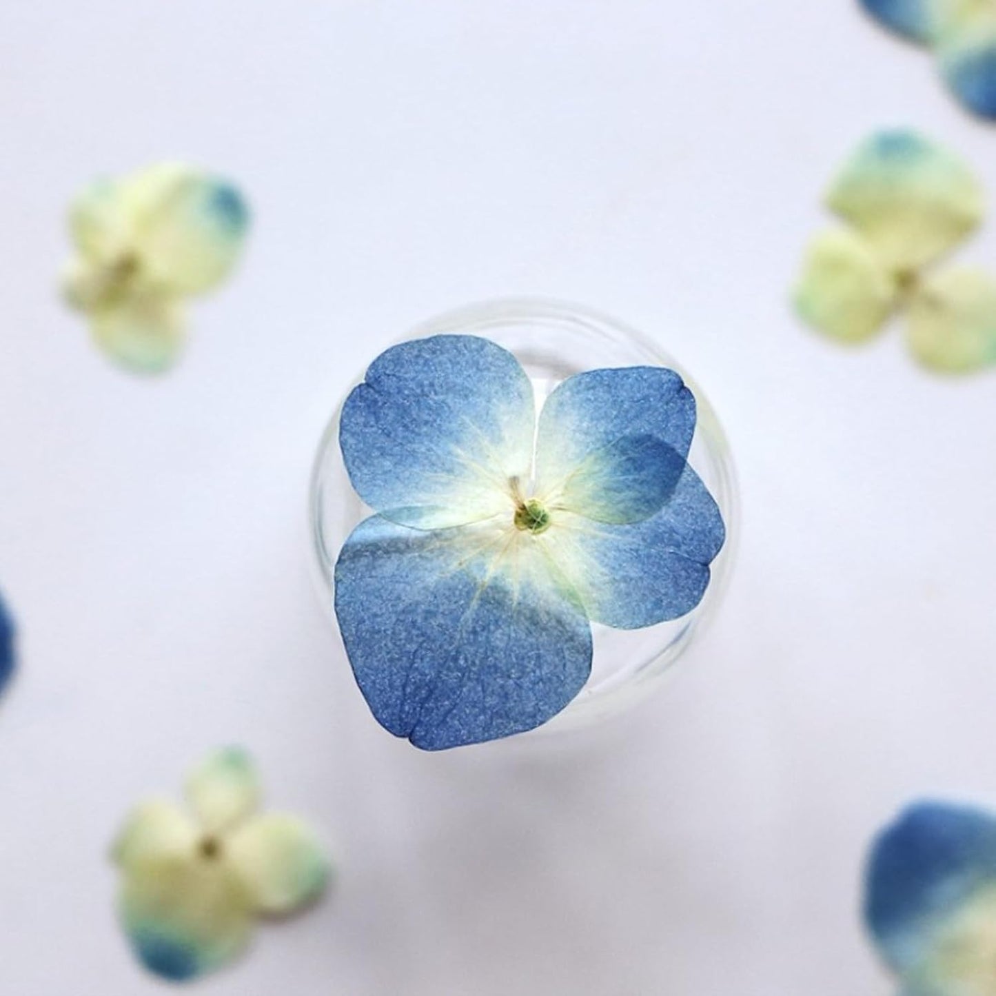 48 Pcs Dried Pressed Flowers for Resin DIY Art Crafts Natural Dry Hydrangea Floral Epoxy Jewelry Real Flower Decor Cakes Phone Cases Candles Handmade Soap Hydrangea, Hydrangea/48pcs
