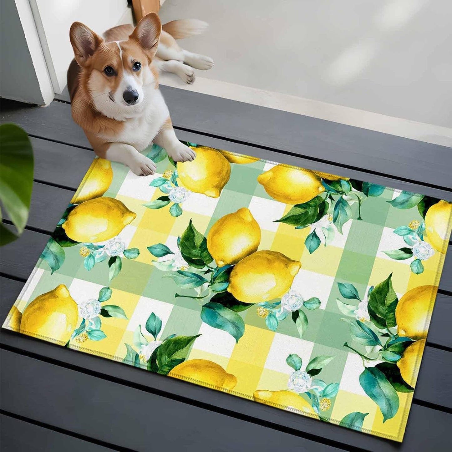 Indoor Area Rugs, Summer Lemon Fruit Green Leaf Non-Slip Rectangle Accent Area Floor Rug for Living Room Bedroom Kids Room College Dorm, 2x3ft Light Yellow Green Check