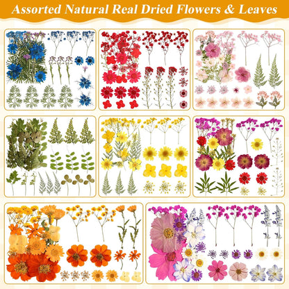 Dried Flowers for Crafts, 331 PCS Dried Pressed Flower Butterfly Stickers with Tweezers Real Natural Pressed Dried Florals Leaves for Resin, Jewelry, Card Making, Soap,Candles, Nail Art, Scrapbooking