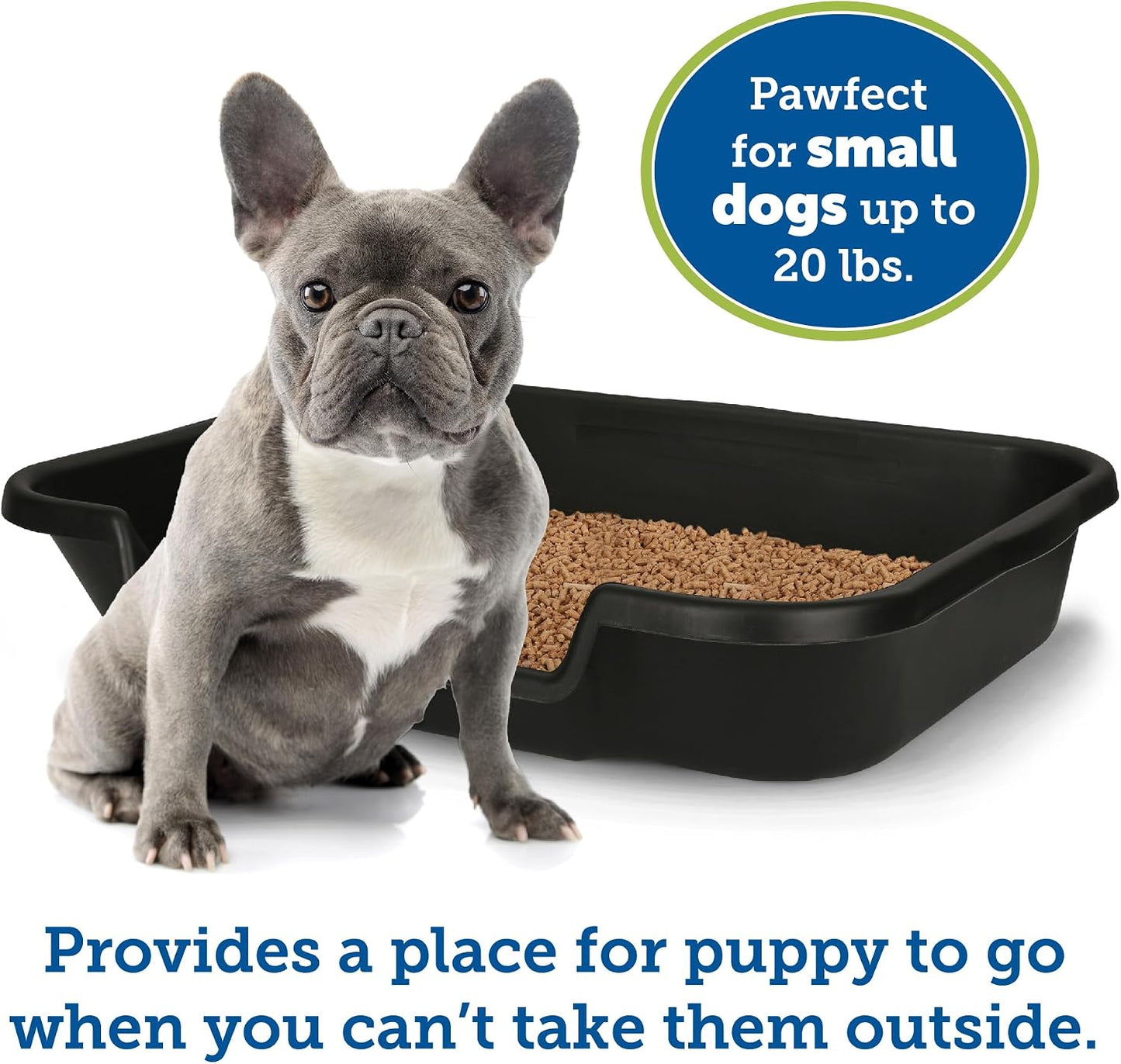 Large Dog Indoor Litter Box Up to 20 Lbs, Blacksmithe Black | Durable & Pet Safe Puppy Litter Box, Indoor Open Top Entry Dog Litter Pan, Comfortable & Great for Dogs, Made in USA
