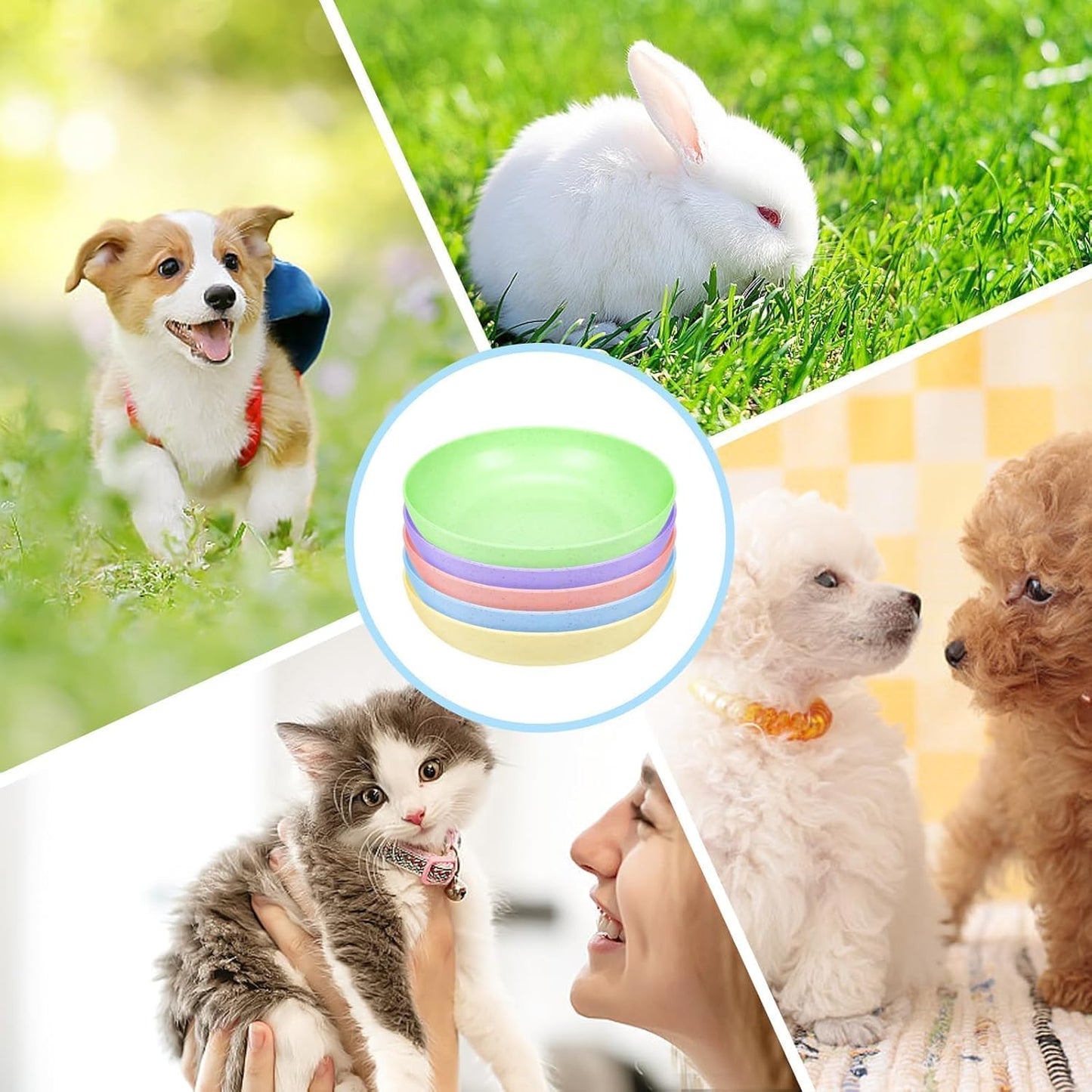 10 Pcs Cat Food Bowl, 5.6 Inch Plastic Shallow Pet Food and Water Dish for Relief Whisker Fatigue, Wide Cat Wet Feeding Bowls, Small Flat Dish for Indoor Outdoor Kittens Dogs | 5.6 Inch Plastic Shallow Pet Food and Water Dish Wide Cat Wet Feeding Bowls,