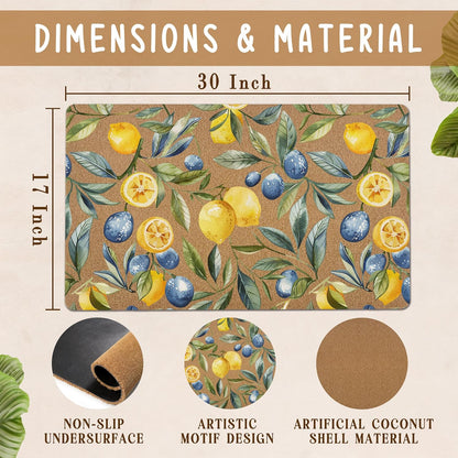 Mediterranean Lemon Door Mat, Mediterranean Sicilian Lemons Front Door Mat Outside Entrance, Blueberry Lemons Artificial Coir Doormat Rugs for Porch Patio Entry Indoor Entryway, 17x30 Inch