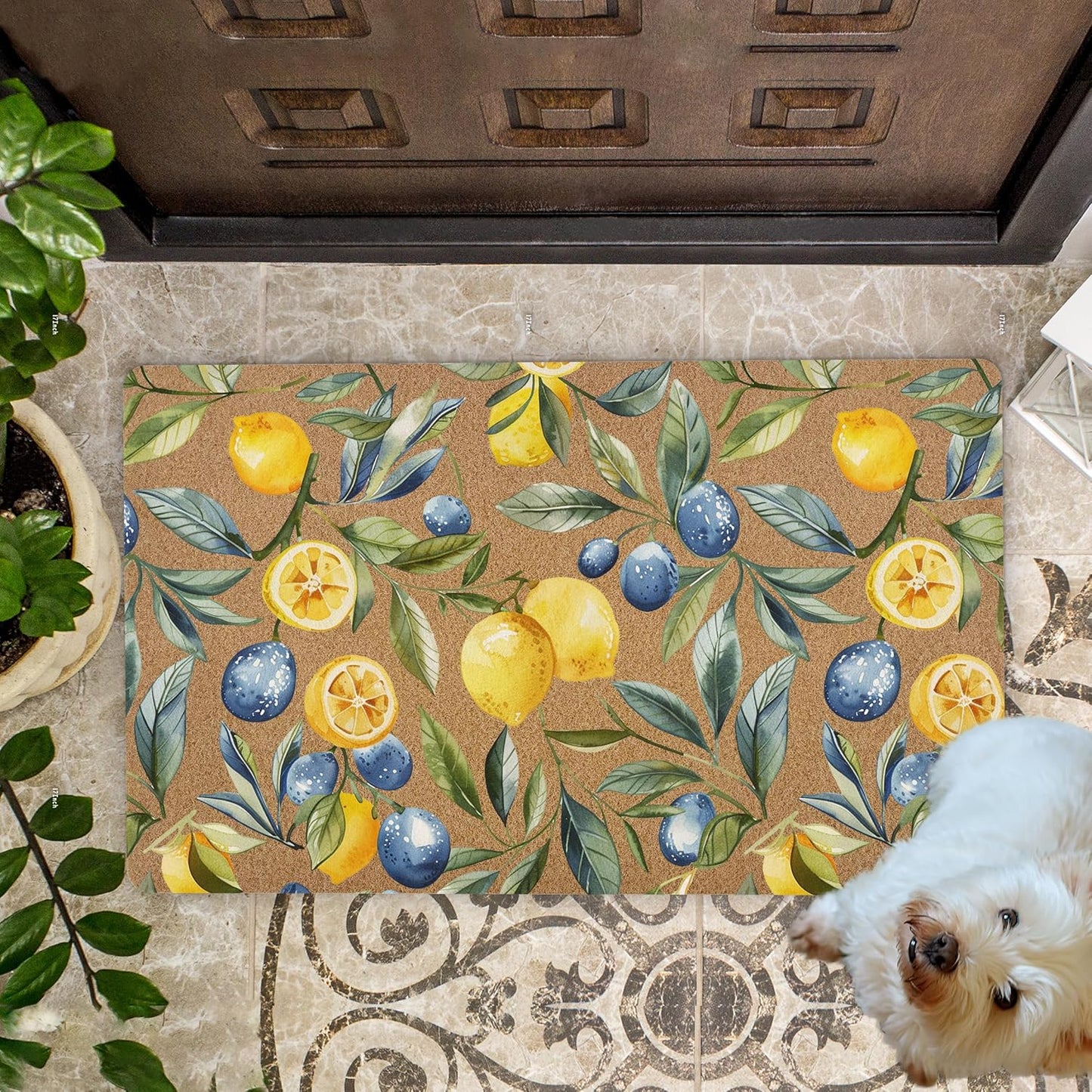 Mediterranean Lemon Door Mat, Mediterranean Sicilian Lemons Front Door Mat Outside Entrance, Blueberry Lemons Artificial Coir Doormat Rugs for Porch Patio Entry Indoor Entryway, 17x30 Inch