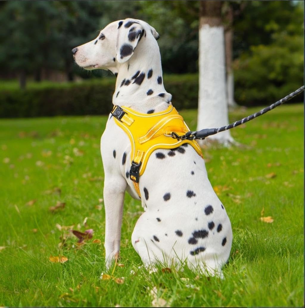 Dog Harness No Pull Adjustable Reflective Oxford for Small Medium Large Dogs Walk Training Pet Owners (Yellow, Medium)