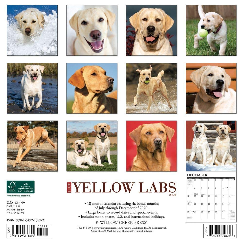 Just Yellow Labs 2021 Wall Calendar (Dog Breed Calendar)