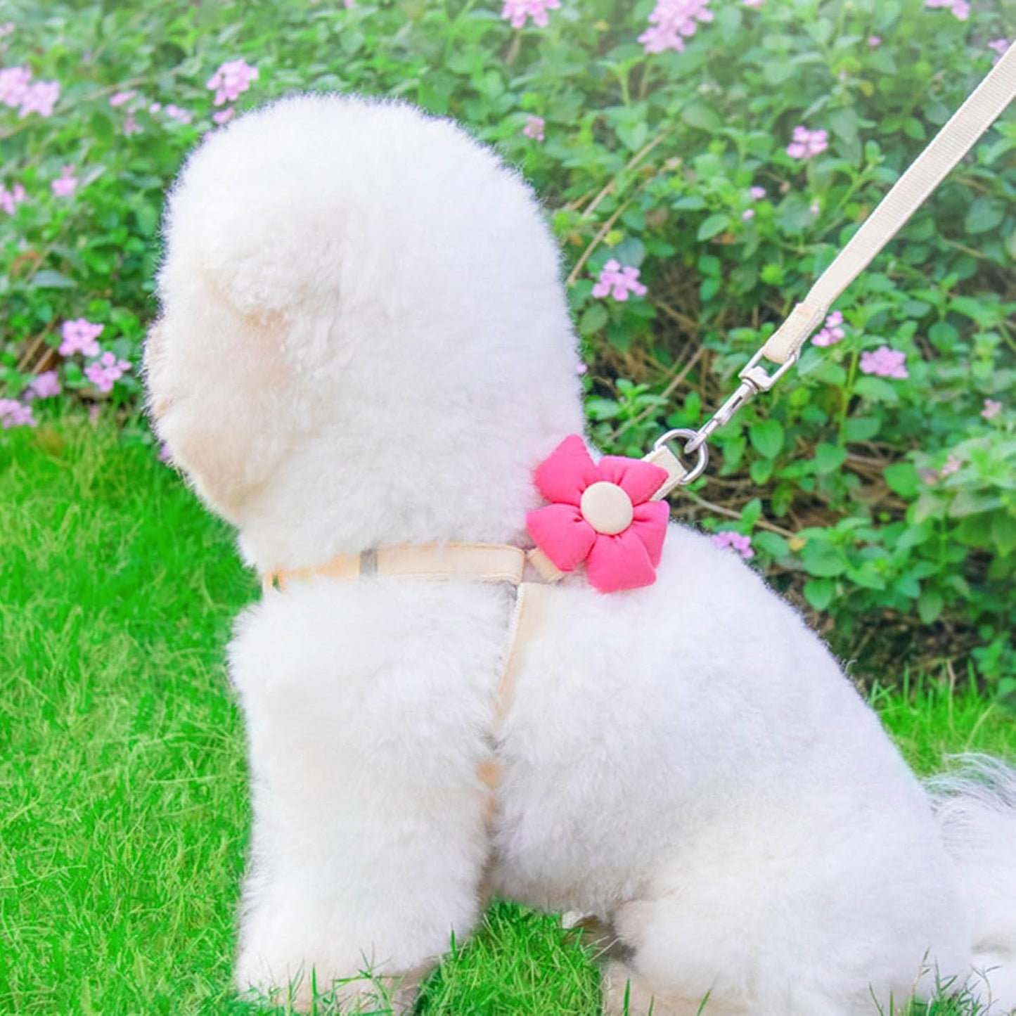 Dog Harness Collar and Leash Set, Sweet Floral Puppy Collar, Escape Proof Puppy Chest Harness, Adjustable Cute Harness Leash Set for Small Dog Cat Outdoor Walking Running Hiking (Beige-Yellow, S)