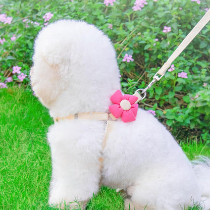 Dog Harness Collar and Leash Set, Sweet Floral Puppy Collar, Escape Proof Puppy Chest Harness, Adjustable Cute Harness Leash Set for Small Dog Cat Outdoor Walking Running Hiking (Beige-Yellow, S)