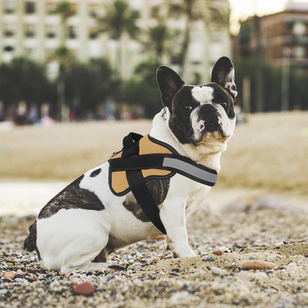 Dog Harness, No-Pull Reflective Dog Vest, Breathable Adjustable Pet Harness with Handle for Outdoor Walking - No More Pulling, Tugging or Choking (Army Yellow, S)