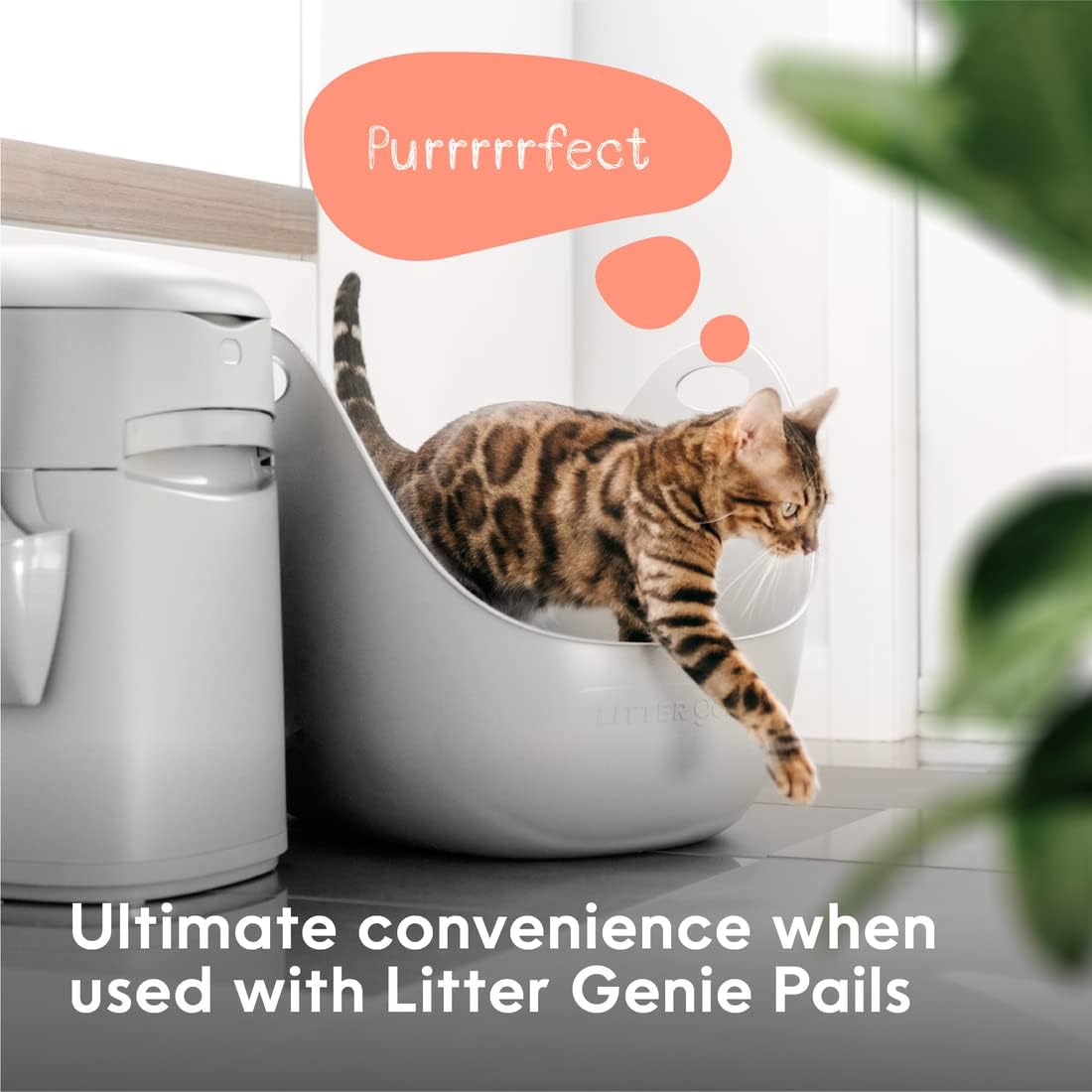 Cat Litter Box in Flexible Plastic with Handles, High Walls