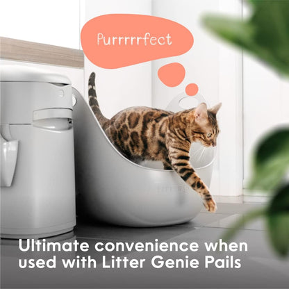 Cat Litter Box in Flexible Plastic with Handles, High Walls