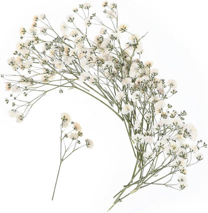 100 PCS Dried Babys Breath Flowers, Mini Pressed Flowers for Crafts, Wedding Invitation Accessories,Dried Pressed Baby Breath for Resin, Candle, Soap, Scrapbooking(White)