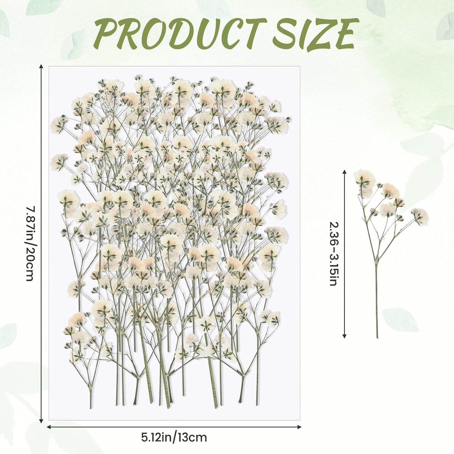 100 PCS Dried Babys Breath Flowers, Mini Pressed Flowers for Crafts, Wedding Invitation Accessories,Dried Pressed Baby Breath for Resin, Candle, Soap, Scrapbooking(White)