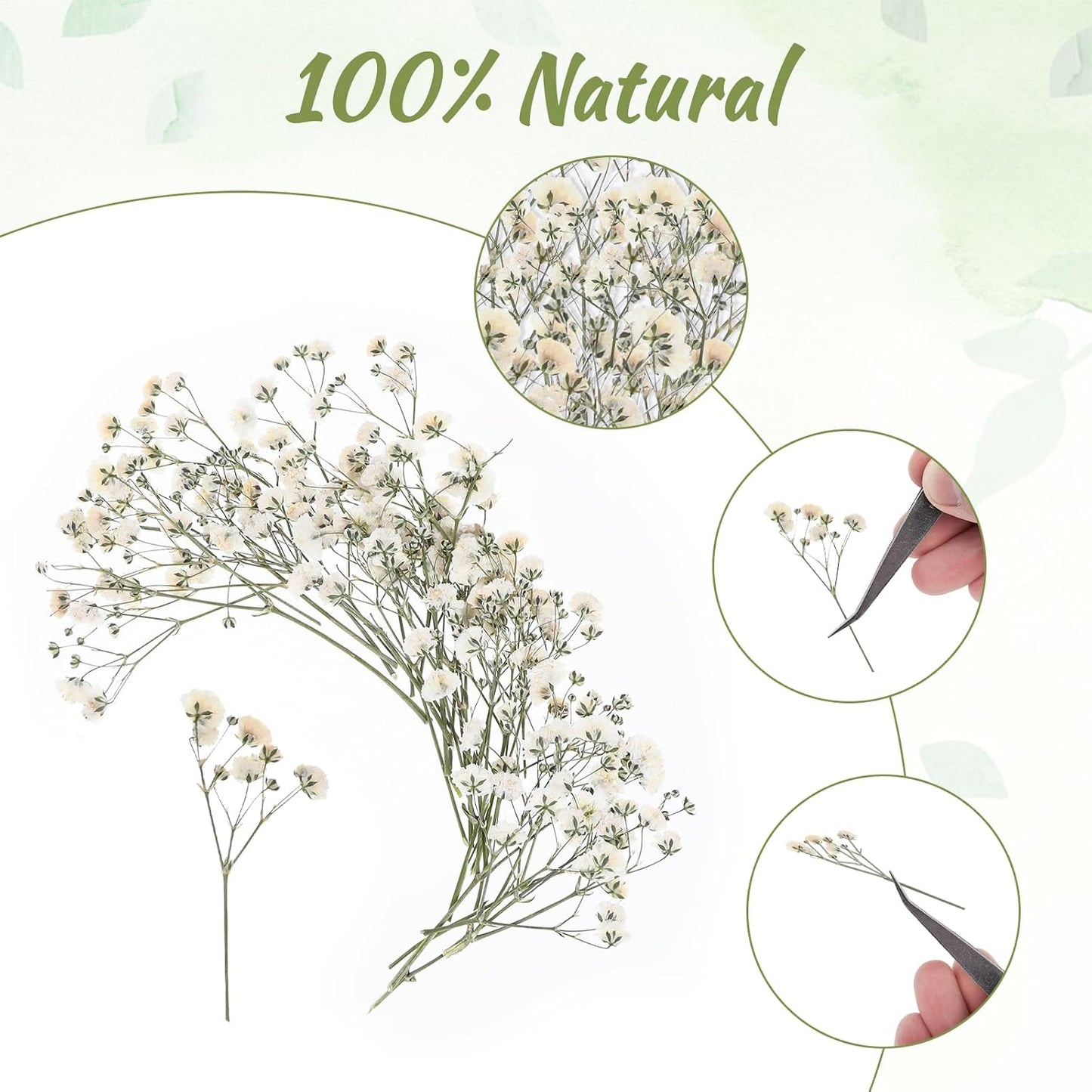 100 PCS Dried Babys Breath Flowers, Mini Pressed Flowers for Crafts, Wedding Invitation Accessories,Dried Pressed Baby Breath for Resin, Candle, Soap, Scrapbooking(White)