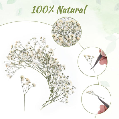 100 PCS Dried Babys Breath Flowers, Mini Pressed Flowers for Crafts, Wedding Invitation Accessories,Dried Pressed Baby Breath for Resin, Candle, Soap, Scrapbooking(White)