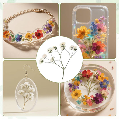 100 PCS Dried Babys Breath Flowers, Mini Pressed Flowers for Crafts, Wedding Invitation Accessories,Dried Pressed Baby Breath for Resin, Candle, Soap, Scrapbooking(White)