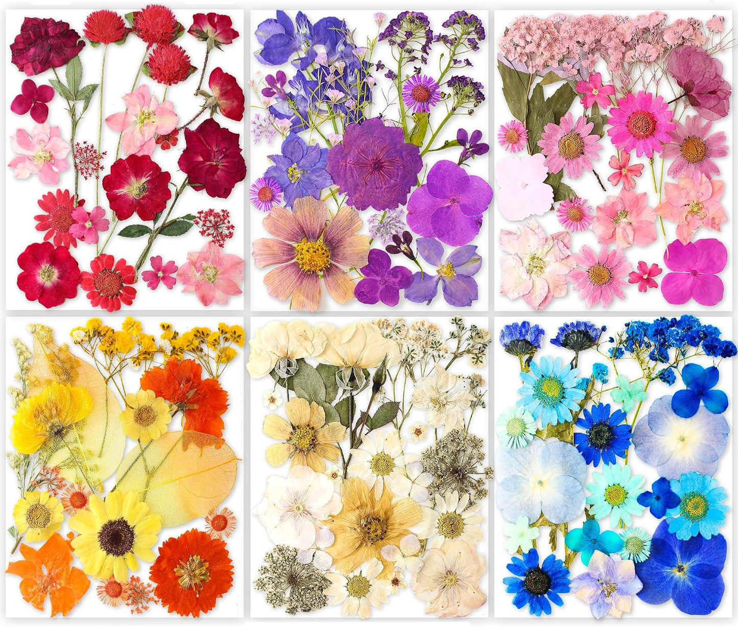 221PCS Real Nature Dried Pressed Flowers for Resin Craft, Dry Pressing Floral with Butterfly Transparent Stickers Set for DIY Jewelry Making Nail Card Scrapbook Art Eternity Summer