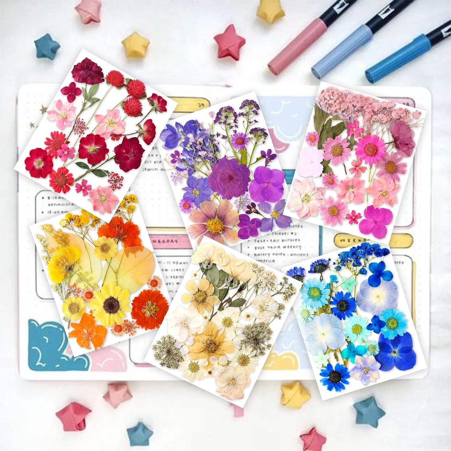 221PCS Real Nature Dried Pressed Flowers for Resin Craft, Dry Pressing Floral with Butterfly Transparent Stickers Set for DIY Jewelry Making Nail Card Scrapbook Art Eternity Summer