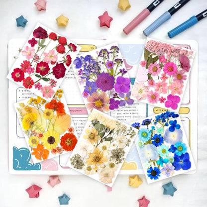 221PCS Real Nature Dried Pressed Flowers for Resin Craft, Dry Pressing Floral with Butterfly Transparent Stickers Set for DIY Jewelry Making Nail Card Scrapbook Art Eternity Summer