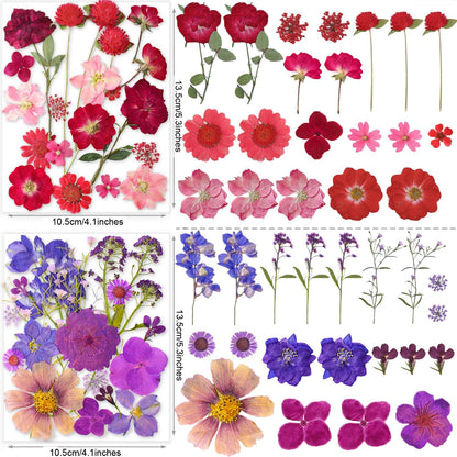 221PCS Real Nature Dried Pressed Flowers for Resin Craft, Dry Pressing Floral with Butterfly Transparent Stickers Set for DIY Jewelry Making Nail Card Scrapbook Art Eternity Summer