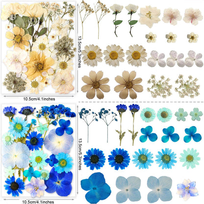 221PCS Real Nature Dried Pressed Flowers for Resin Craft, Dry Pressing Floral with Butterfly Transparent Stickers Set for DIY Jewelry Making Nail Card Scrapbook Art Eternity Summer