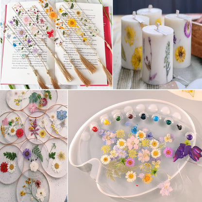221PCS Real Nature Dried Pressed Flowers for Resin Craft, Dry Pressing Floral with Butterfly Transparent Stickers Set for DIY Jewelry Making Nail Card Scrapbook Art Eternity Summer