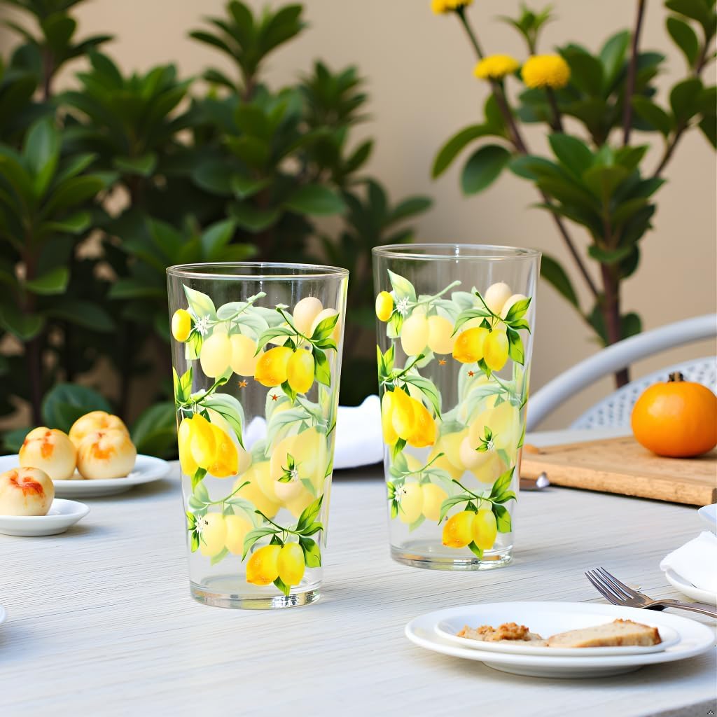 Calypso Basics Fresh Lemons 19 oz Acrylic Drinkware Set of 6 – BPA-Free, Indoor/Outdoor, Dishwasher Safe, Lemons with Bees