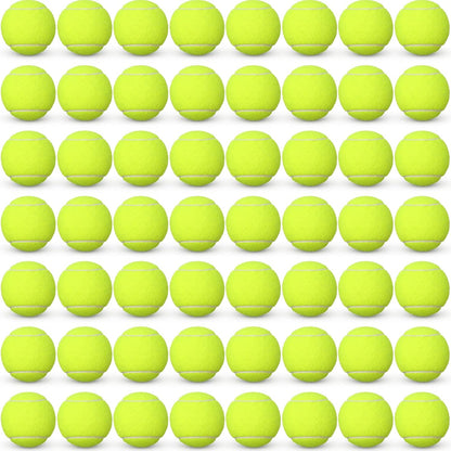 48 Pcs Standard Pressure Tennis Balls Bulk, Training Tennis Balls Practice for Player Beginner Training Sports Ball, 2.5 Inch