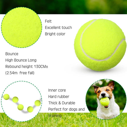 48 Pcs Standard Pressure Tennis Balls Bulk, Training Tennis Balls Practice for Player Beginner Training Sports Ball, 2.5 Inch