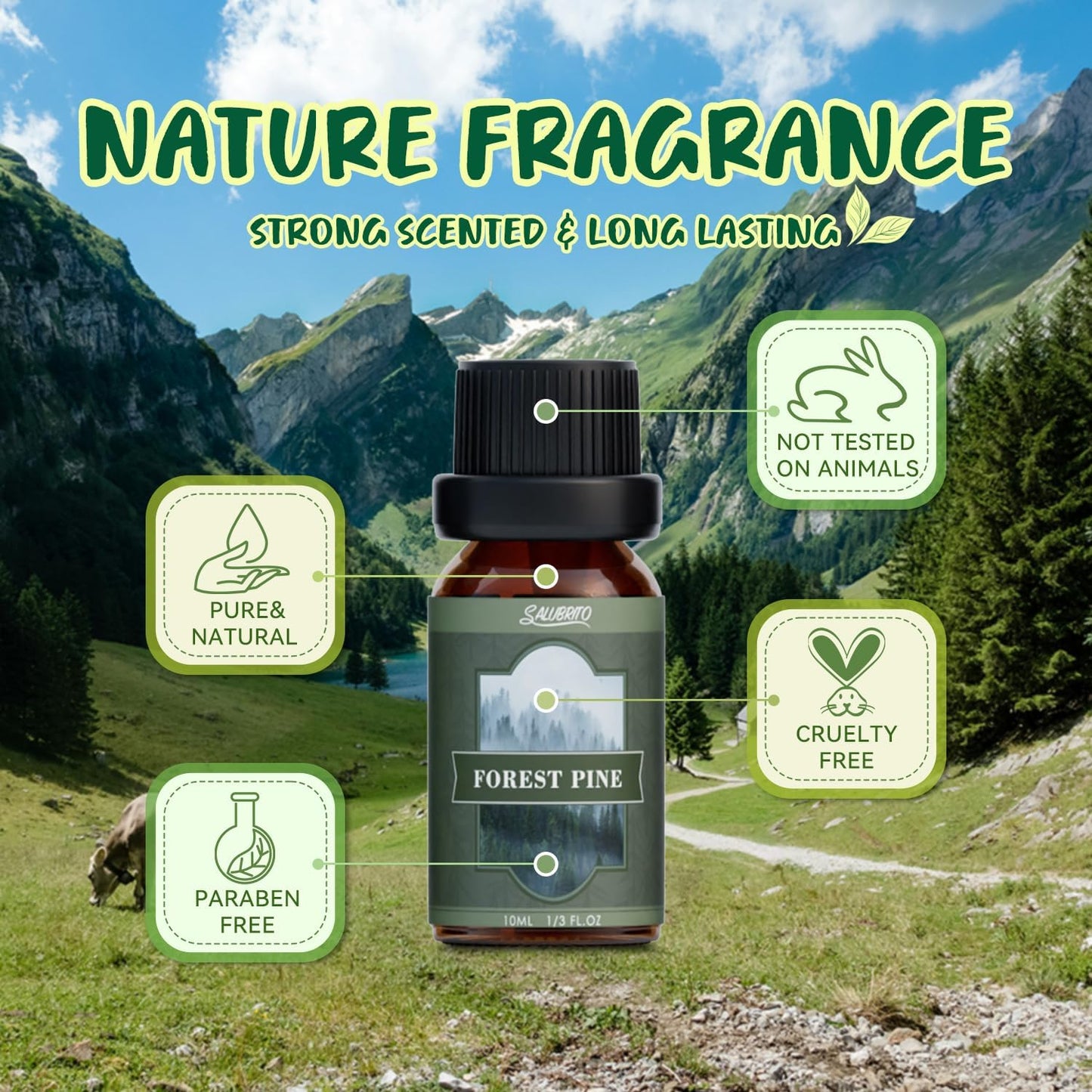 Citrus Essential Oils Set for Diffuser, Fragrance Oil | Sweet Orange, Bergamot, Lemon, Grapefruit, Mandarin Orange, Lime Scented Oil for Soap Making, Candle Making