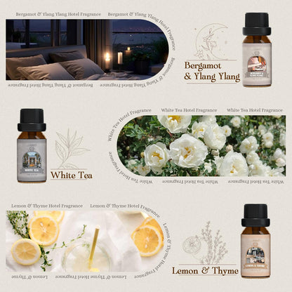 Citrus Essential Oils Set for Diffuser, Fragrance Oil | Sweet Orange, Bergamot, Lemon, Grapefruit, Mandarin Orange, Lime Scented Oil for Soap Making, Candle Making