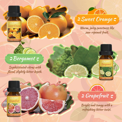 Citrus Essential Oils Set for Diffuser, Fragrance Oil | Sweet Orange, Bergamot, Lemon, Grapefruit, Mandarin Orange, Lime Scented Oil for Soap Making, Candle Making