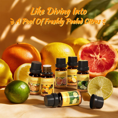 Citrus Essential Oils Set for Diffuser, Fragrance Oil | Sweet Orange, Bergamot, Lemon, Grapefruit, Mandarin Orange, Lime Scented Oil for Soap Making, Candle Making