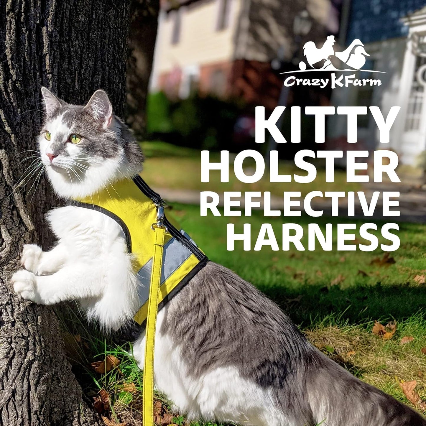Reflective Cat Harness – High-Visibility Cat Harness for Travel, Day and Night Walking - Soft Cotton Cat Accessories, Breathable, Secure & Washable, Made in USA - Sunshine Yellow, M to L