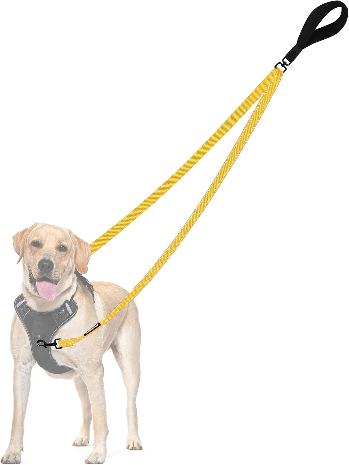 Two Point Control Dog Leash, No Tangle Training Walking Leashes | Soft Padded Handle, Reflective, Works with No Pull Harnesses, Converts to Single Lead for Medium Large Dogs, Yellow