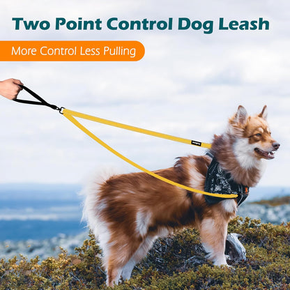 Two Point Control Dog Leash, No Tangle Training Walking Leashes | Soft Padded Handle, Reflective, Works with No Pull Harnesses, Converts to Single Lead for Medium Large Dogs, Yellow