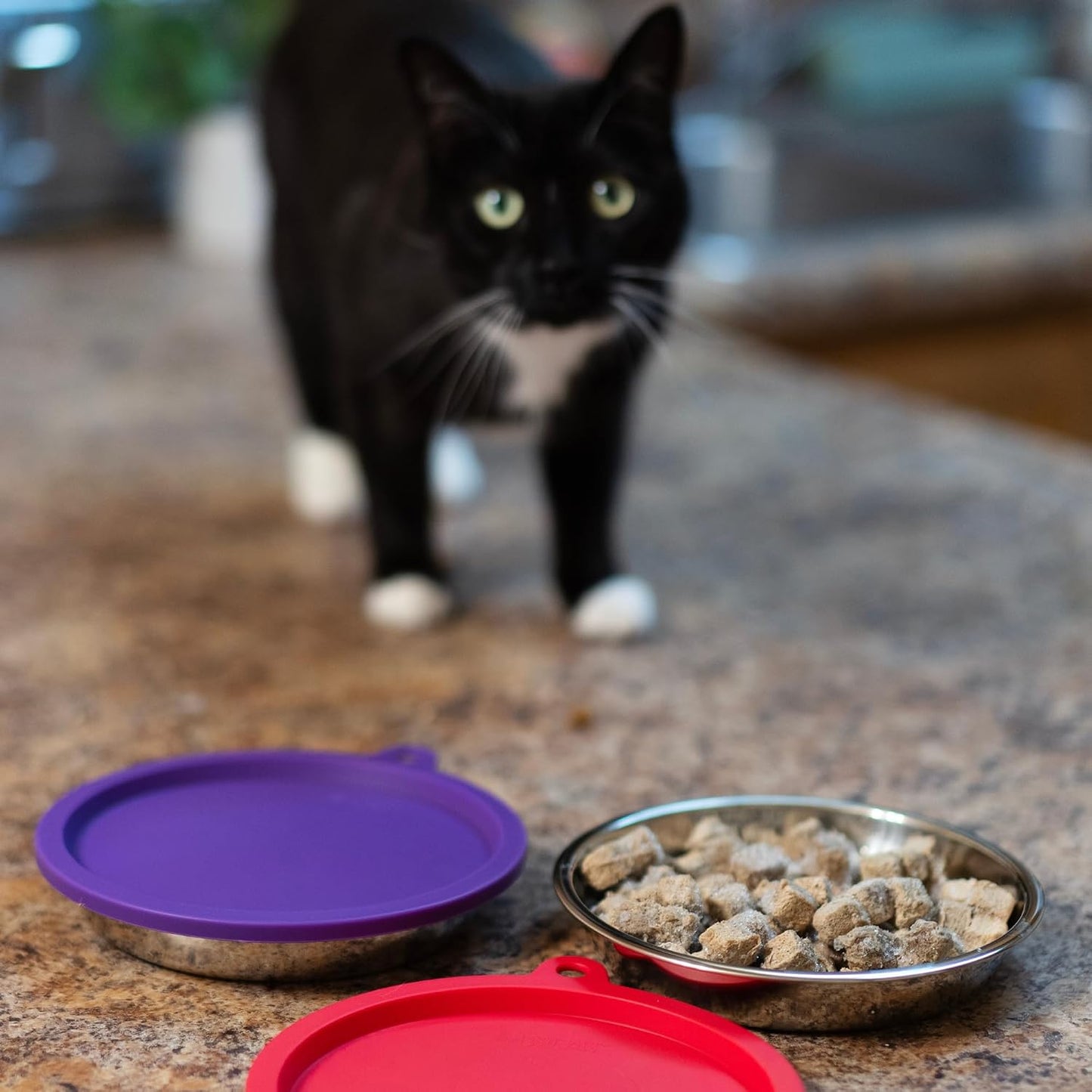 4 Piece Set, 2 Stainless Bowls and 2 Lids, 1.75 Cup | Cat Feeding Set With Two Stainless Saucer Bowls And Two Airtight Silicone Lids For Meal Prep And Storage