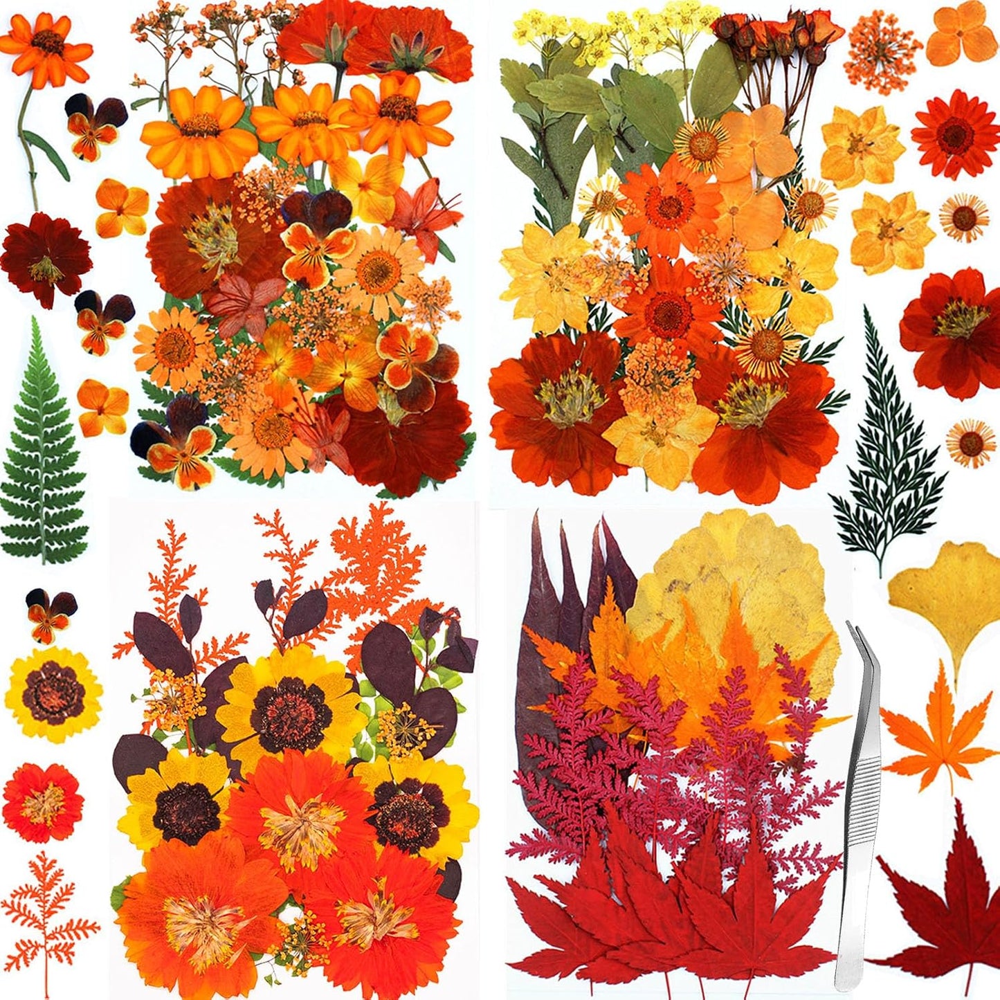 Fall Dried Pressed Flowers for Crafts, 103 PCS Real Dried Pressed Flowers Leaves Kit Autumn Pressed Dry Flower with Tweezers for Resin Molds DIY Scrapbooking Candle Jewelry Making (Orange, Yellow)