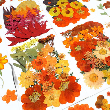 Fall Dried Pressed Flowers for Crafts, 103 PCS Real Dried Pressed Flowers Leaves Kit Autumn Pressed Dry Flower with Tweezers for Resin Molds DIY Scrapbooking Candle Jewelry Making (Orange, Yellow)