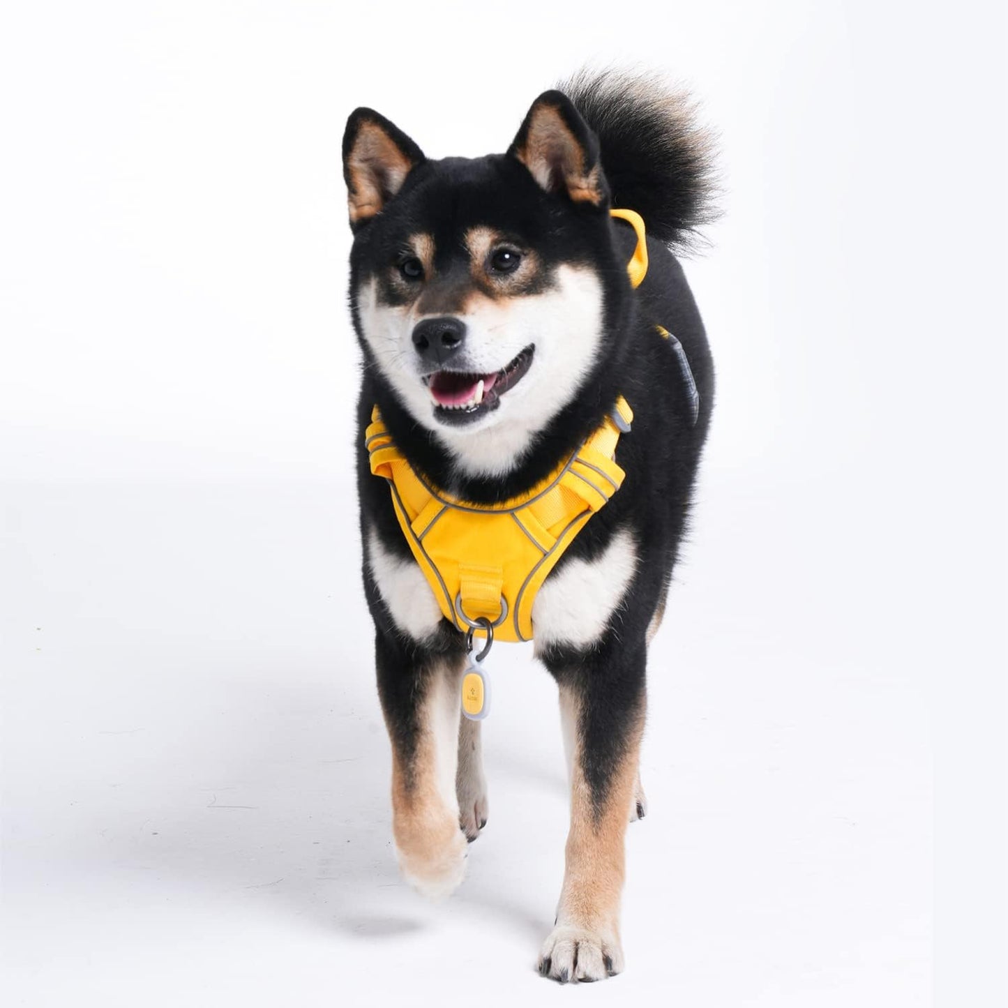 No Pull Dog Harness with Pet ID Tag, Reflective Vest | Built for safer walks with a QR Pet ID Tag, front no pull clip, reflective trim, control handle and breathable mesh lining