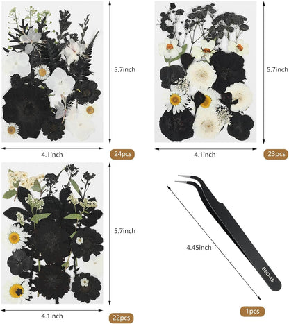 69Pcs Halloween Dried Pressed Flowers for Resin Molds, Bulk Real Natural Dry Floral for DIY Art Crafts, Candle, Soap Making, Phone Case，Nails Decor （Black&White）